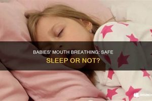 Why Do Babies Sleep With Their Mouth Open? &amp; When to Worry | Baby Care 101: Essential Tips for Happy, Healthy Babies