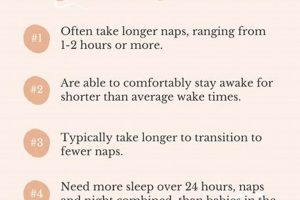 Understanding Your High Sleep Needs Baby: Tips &amp; Guide | Baby Care 101: Essential Tips for Happy, Healthy Babies