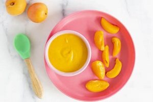 Best Apricot Baby Food: Recipes & Benefits! | Baby Care 101: Essential Tips for Happy, Healthy Babies