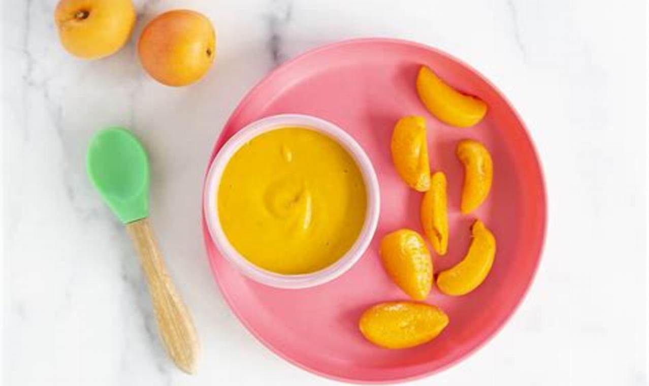 Best Apricot Baby Food: Recipes & Benefits! Baby Care 101: Essential Tips for Happy, Healthy Babies Best Apricot Baby Food: Recipes & Benefits! | Baby Care 101: Essential Tips for Happy, Healthy Babies