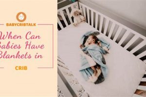 Baby Blanket Safety: When Can Babies Have Blankets in Crib? | Baby Care 101: Essential Tips for Happy, Healthy Babies