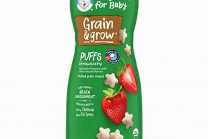 Is Strawberry Baby Food Safe? + Recipes! | Baby Care 101: Essential Tips for Happy, Healthy Babies