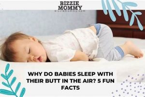 Baby Sleep: Why Babies Sleep with Butt in Air + Tips Baby Care 101: Essential Tips for Happy, Healthy Babies Baby Sleep: Why Babies Sleep with Butt in Air + Tips | Baby Care 101: Essential Tips for Happy, Healthy Babies