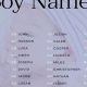 Why Some Baby Names Plummeted After 2015: Naming Trends | Baby Care 101: Essential Tips for Happy, Healthy Babies