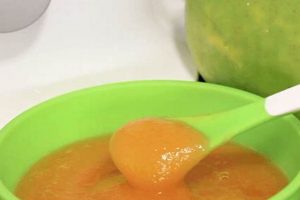 Best Papaya Baby Food: Recipes & Guide | Baby Care 101: Essential Tips for Happy, Healthy Babies