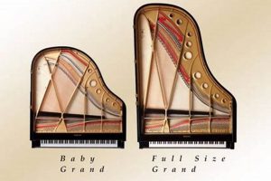 Choosing? Baby Grand vs Grand Piano: Which One is Right? | Baby Care 101: Essential Tips for Happy, Healthy Babies