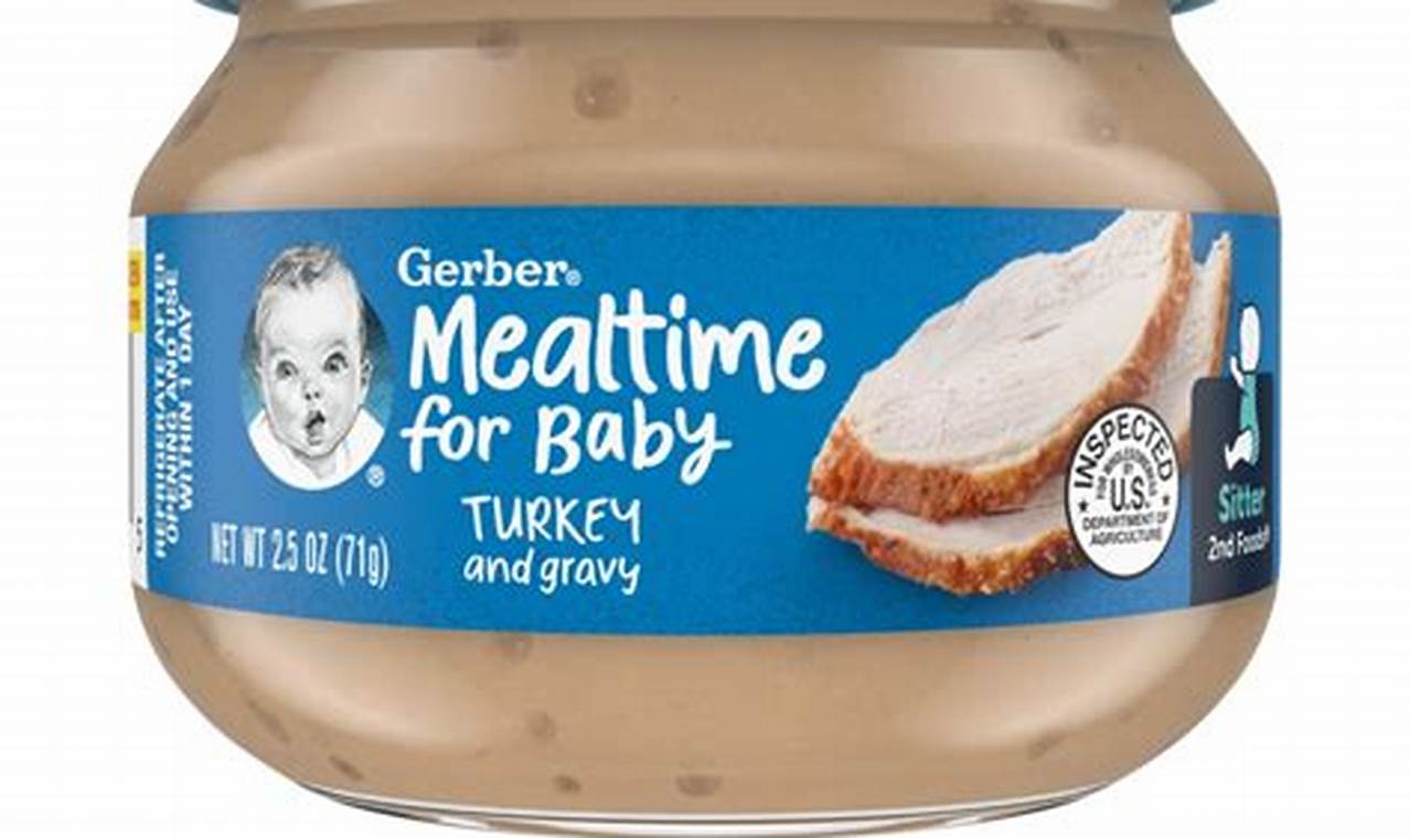 Best Homemade Baby Food Turkey Recipes: Easy & Nutritious | Baby Care 101: Essential Tips for Happy, Healthy Babies
