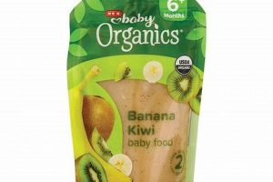 Kiwi Baby Food: Recipes & Benefits for Your Little One | Baby Care 101: Essential Tips for Happy, Healthy Babies